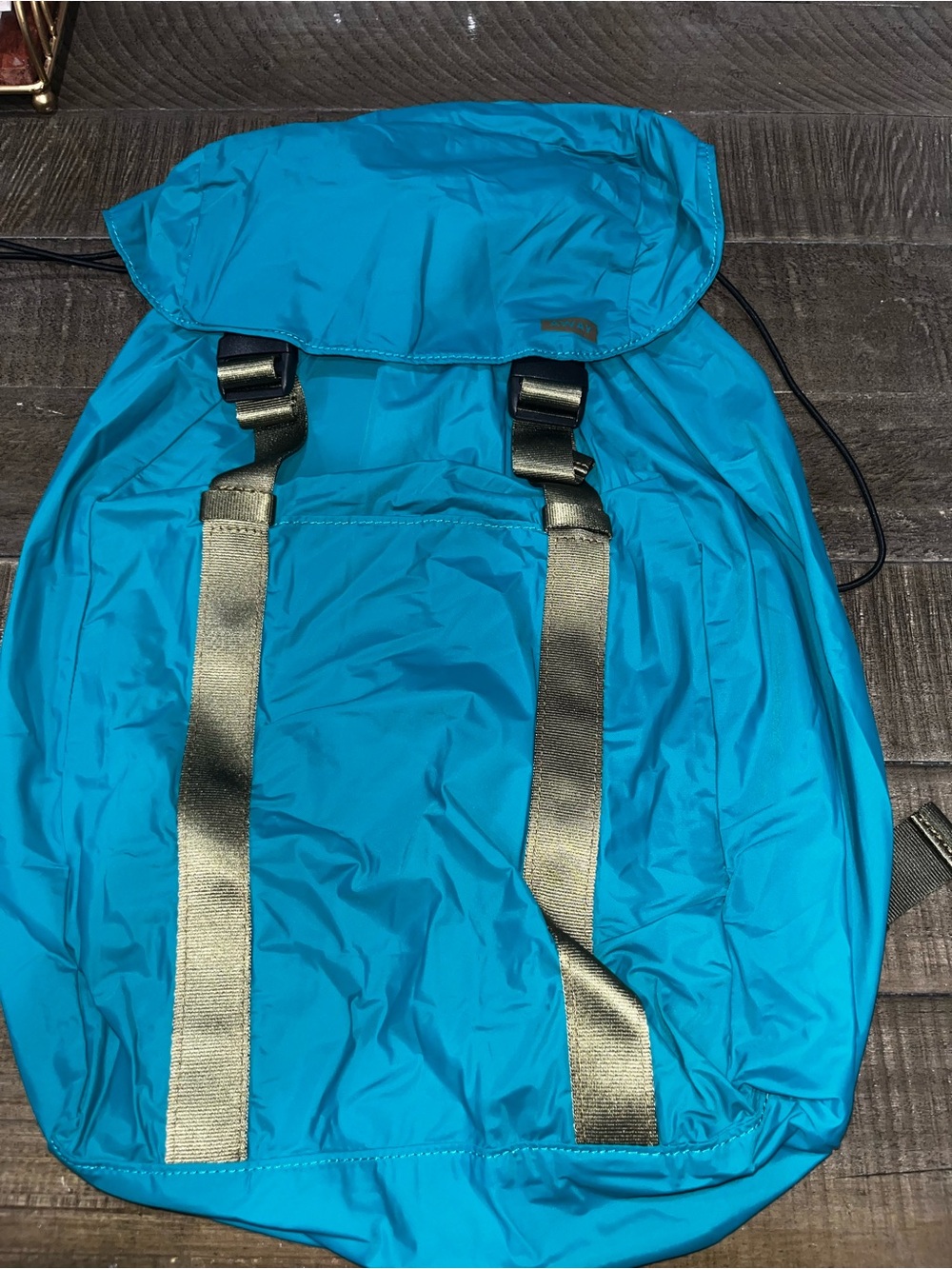 Away Teal Men's or Women’s Drawstring Backpack with Metallic olive Straps